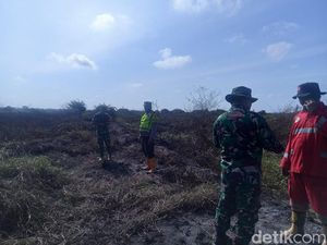 Kebakaran Lahan di Muaro Jambi Sudah Padam Kebakaran Lahan di Muaro Jambi Sudah Padam