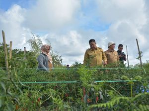 Desa Parbuluan Panen 1,5 Ton Cabai, Bupati Dairi: Sangat Baik