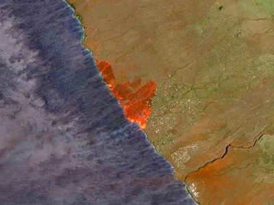 Potret Api yang Merambat Hutan di Hawaii Kian Meluas