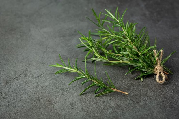 Rosemary can get rid of ants in the house