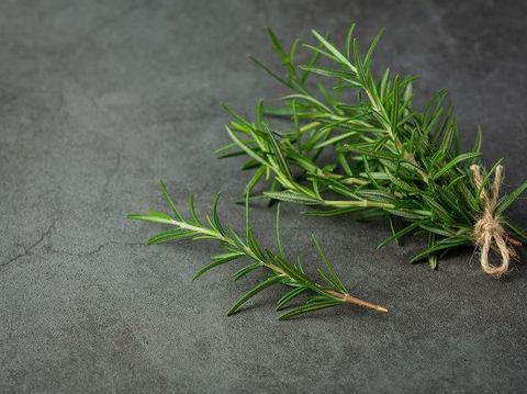 Rosemary bisa untuk mengusir semut di rumah