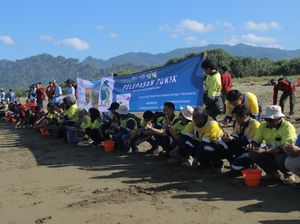 Ratusan Tukik Dilepasliarkan-Tanam Cemara Peringati Hari Konservasi Nasional Ratusan Tukik Dilepasliarkan-Tanam Cemara Peringati Hari Konservasi Nasional