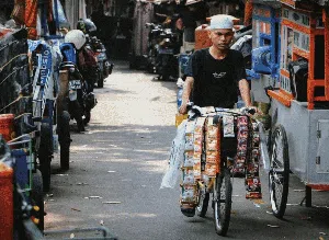 Potret Kampung Starling di Sudut Ibu Kota Potret Kampung Starling di Sudut Ibu Kota