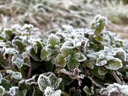 Cerita Pendaki Temukan Fenomena Tak Biasa di Gunung Ciremai