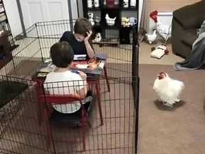 Deretan Foto Bikin Bingung, Butuh Lebih Banyak Penjelasan