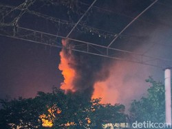 Gudang Pakan dan Egg Tray di Kota Blitar Terbakar Hebat
