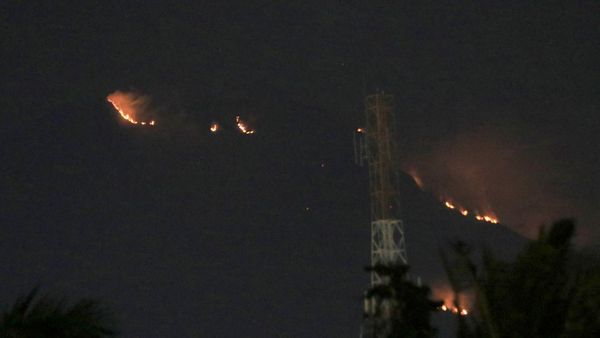 Gunung Merapi Ungup-ungup Terbakar, Begini Potretnya