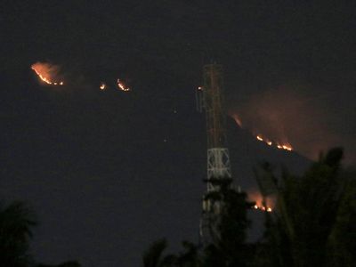 Gunung Merapi Ungup-ungup Terbakar, Begini Potretnya
