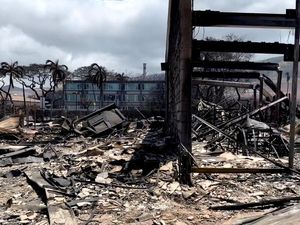 Korban Tewas Kebakaran Maui Terburuk dalam Seabad, Apa Penyebabnya?