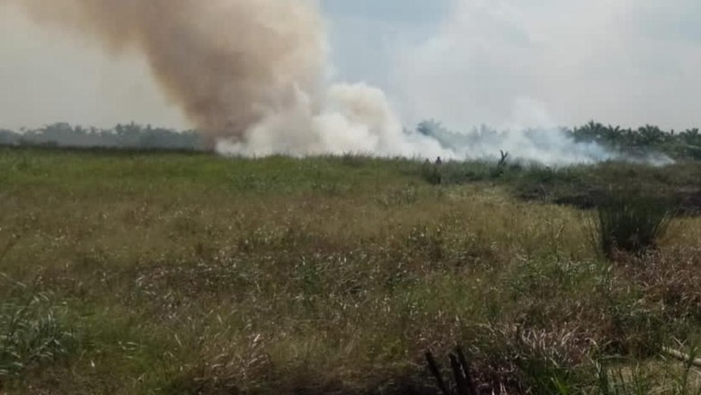Lagi, Lahan Warga di Tanjabbar Terbakar-Berhasil Dipadamkan