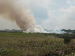 Lagi, Lahan Warga di Tanjabbar Terbakar-Berhasil Dipadamkan
