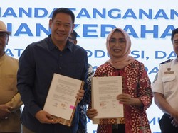 ASDP Luncurkan Dashboard Ferizy bagi Operator Kapal