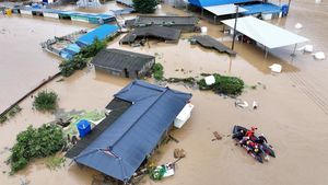Kota di Korsel Terendam Banjir Setinggi Rumah Imbas Topan Khanun