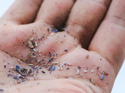 Fata Mengerikan Mikroplastik yang Bahayakan Kesehatan Manusia