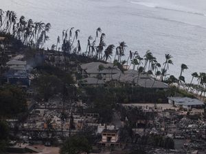 5 Fakta Kebakaran Hutan di Hawaii, Disebut Biden Bencana Besar 5 Fakta Kebakaran Hutan di Hawaii, Disebut Biden Bencana Besar