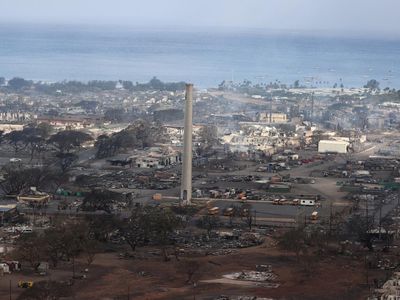 Ngeri, Pulau Hawaii Hangus Dilalap Kebakaran Hutan