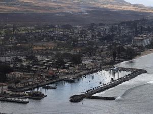 Bertambah, Korban Tewas Kebakaran Hutan di Hawaii Jadi 93 Orang Bertambah, Korban Tewas Kebakaran Hutan di Hawaii Jadi 93 Orang