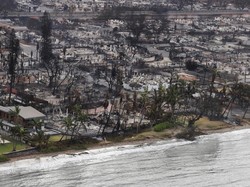 Ngerinya Kebakaran Hutan di Hawaii Tewaskan 55 Orang, Benar-benar Hancur!