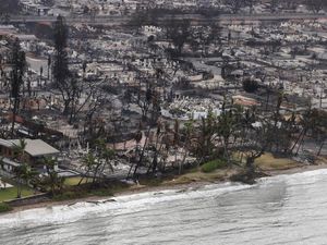 Korban Tewas Akibat Kebakaran Hutan di Hawaii Bertambah Korban Tewas Akibat Kebakaran Hutan di Hawaii Bertambah