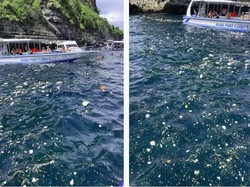 Bule Mau Snorkeling Jijik dengan Sampah, Dispar Bali Tak Membantah