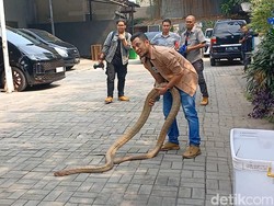 Idap Anxiety gegara Takut Kematian, Panji Petualang Kini Berusaha Berpikir Positif