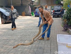 Anxiety Buat Kondisi Panji Petualang Makin Kurus hingga ke Psikiater