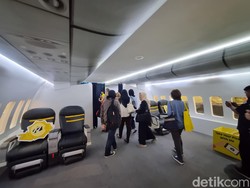 Maskapai Ini Sediakan Ekstra Bagasi, Cek Biayanya