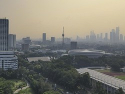 Pakar Ungkap Dampak dari Kualitas Udara yang Buruk, Bahaya untuk Anak Kecil-Lansia