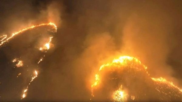 Potret Ngerinya Kebakaran Hutan di Hawaii