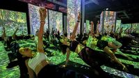 Sensasi Yoga Wine di Pameran Imersif Van Gogh
