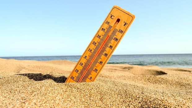 Tips Jaga Keselamatan Diri dari Panas Ekstrem/ Foto: Freepik/wirestock