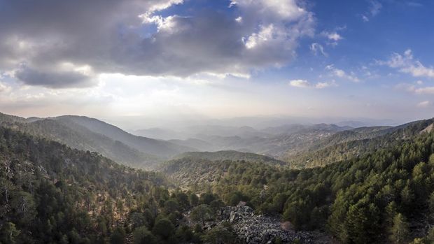 Troodos National Forest Park di Siprus Troodos forest mountains panorama, Cyprus