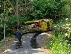 Tak Kuat Nanjak, Truk Muatan Bambu Terguling di Banjaroyo Kulon Progo