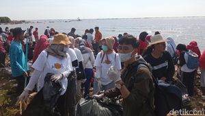 Aksi Bersih-bersih Sampah di Pantai Kesenden Cirebon