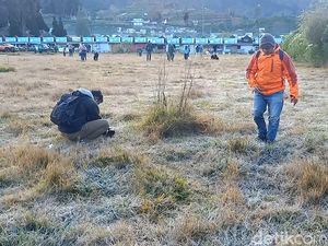 Mau Lihat Embun Es di Dieng? Ini Waktu dan Cara Amati Cuaca Sebelumnya Mau Lihat Embun Es di Dieng? Ini Waktu dan Cara Amati Cuaca Sebelumnya