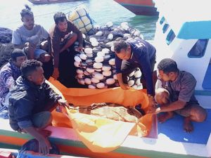 Baru Tiga Hari Kerja, ABK Asal Papua Tewas di Kapal