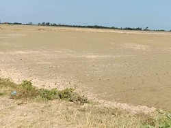 200 Hektare Sawah di Pinrang Kekeringan, Petani Minta Dibuatkan Embung
