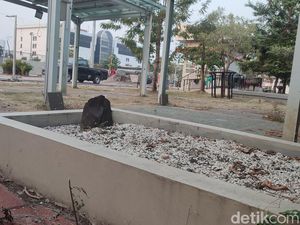 Kuburan di Sudut Alun-alun Semarang Konon Makam Pejuang, Begini Kisahnya Kuburan di Sudut Alun-alun Semarang Konon Makam Pejuang, Begini Kisahnya