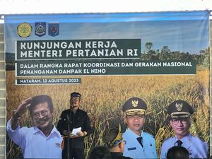 El Nino Ancam Produksi Pangan, Mentan Pimpin Rakor di NTB