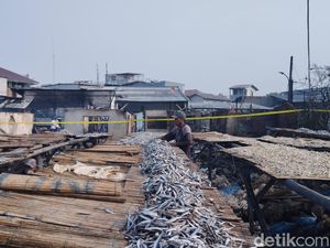 Kebakaran di Penjaringan Padam, Warga Kumpulkan Ikan Kering untuk Dikonsumsi