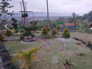 Wisata Bumi Cerah Bone Bolango, Keindahan Panorama Alam dari Atas Bukit Wisata Bumi Cerah Bone Bolango, Keindahan Panorama Alam dari Atas Bukit