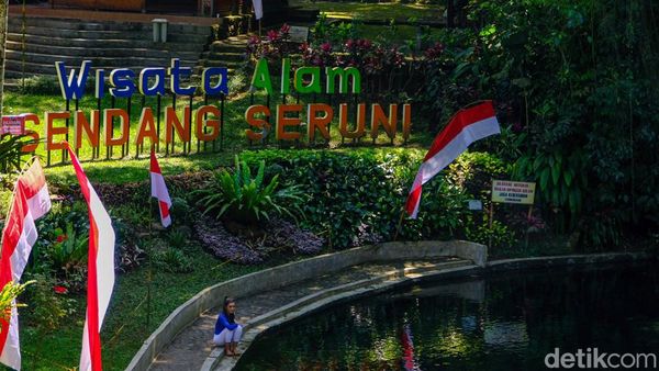 Berkunjung ke Sendang Seruni di Kaki Ijen, Airnya Bening Banget