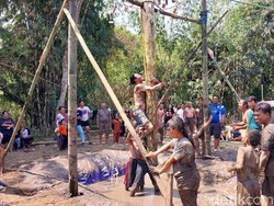 Serunya Lomba Gedebog Perjuangan Peringati Kemerdekaan RI di Kota Malang