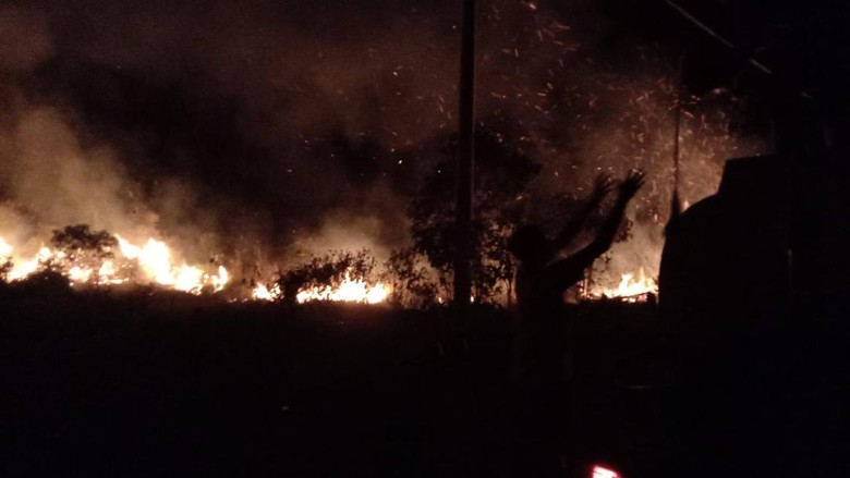 Dampak El Nino, 100 Hektare Lahan dan Hutan di Babel Terbakar