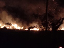 Dampak El Nino, 100 Hektare Lahan dan Hutan di Babel Terbakar