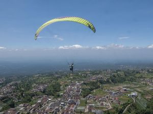 Pakai Parasut, Pilot Jet Akrobatik yang Jatuh di Italia Selamat