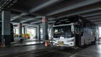 Begini Potret Bus Lintas Batas RI-Malaysia