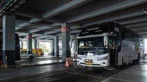 Begini Potret Bus Lintas Batas RI-Malaysia