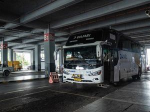 Begini Potret Bus Lintas Batas RI-Malaysia Begini Potret Bus Lintas Batas RI-Malaysia