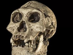 Eropa Pernah Kosong Selama 200.000 Tahun Akibat Penurunan Suhu